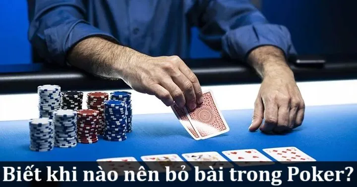 Biết khi nào nên bỏ bài trong Poker giúp giảm thiểu thua lỗ