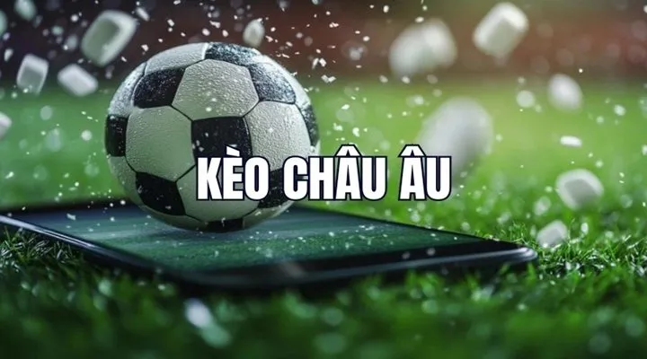 Vài mẹo cược 1x2 hiệu quả dành cho newbie